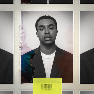 翼舞在线观看免费观看全部节目
