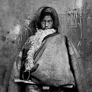 翼舞在线观看免费观看全部节目
