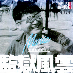 翼舞在线观看免费观看全部节目
