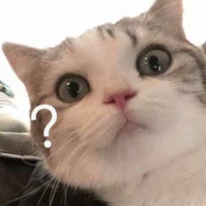 翼舞在线观看免费观看全部节目
